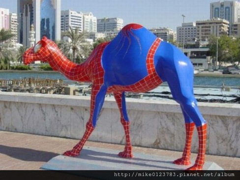 large_Spiderman_Camel_Funny_Picture_58918