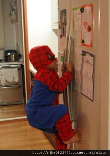 funny-spiderman-pictures-2