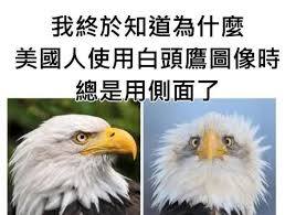 【《無能之鷹》，能幹的薪水小偷】菜菜緒 (2024)