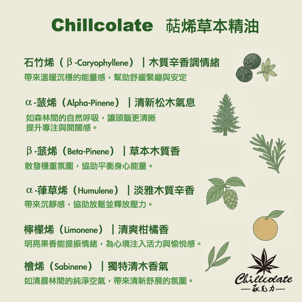 【肥胖的徵兆，不是肚子！睡不好的答案，竟然是舌頭！👅】呼吸中止症，減重減脂，Chillcolate的3件事