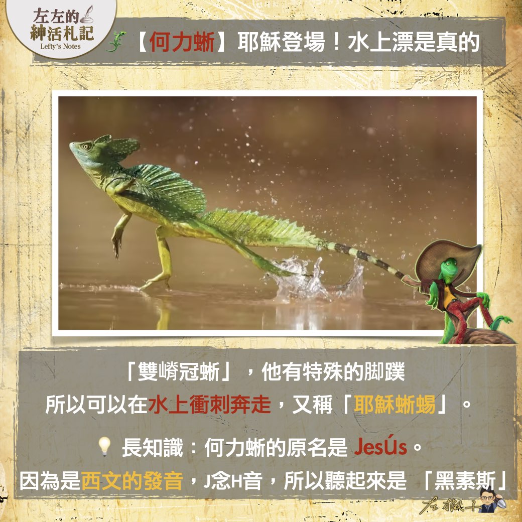 【Zebros一位是假斑馬？無尾熊有2根大拇指？】 《#動物方城市2》觀影重點，隱藏彩蛋總整理！（上篇）