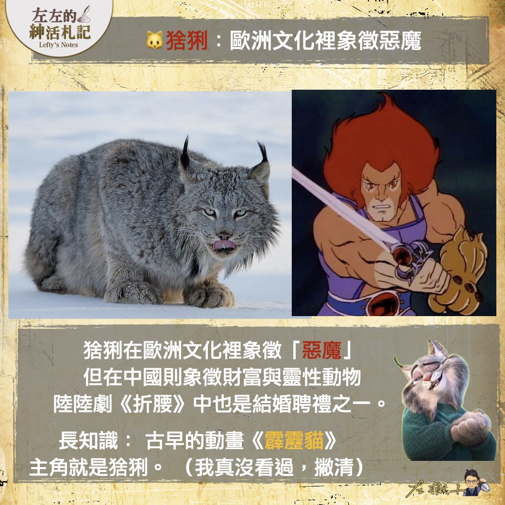 【Zebros一位是假斑馬？無尾熊有2根大拇指？】 《#動物方城市2》觀影重點，隱藏彩蛋總整理！（上篇）