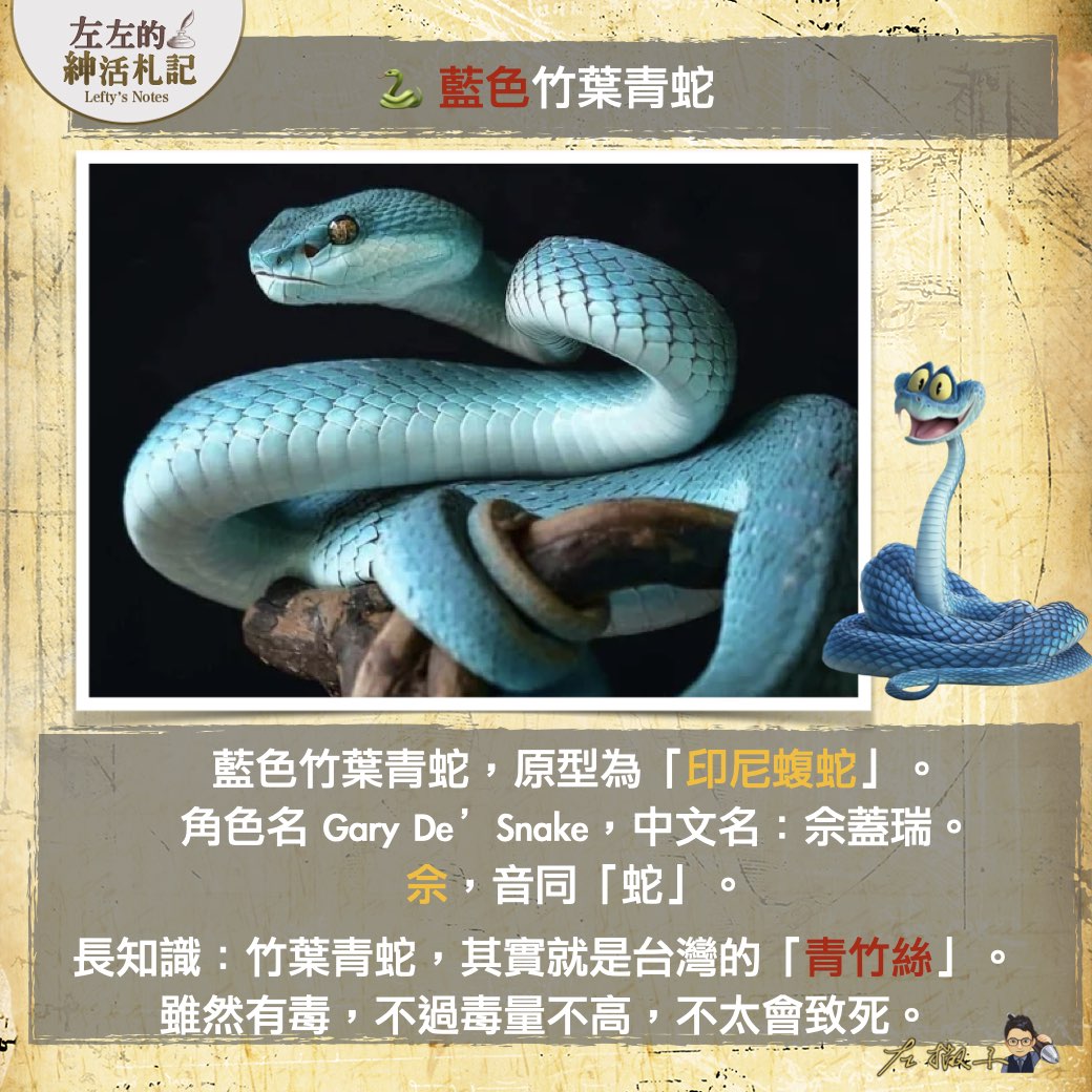 【Zebros一位是假斑馬？無尾熊有2根大拇指？】 《#動物方城市2》觀影重點，隱藏彩蛋總整理！（上篇）